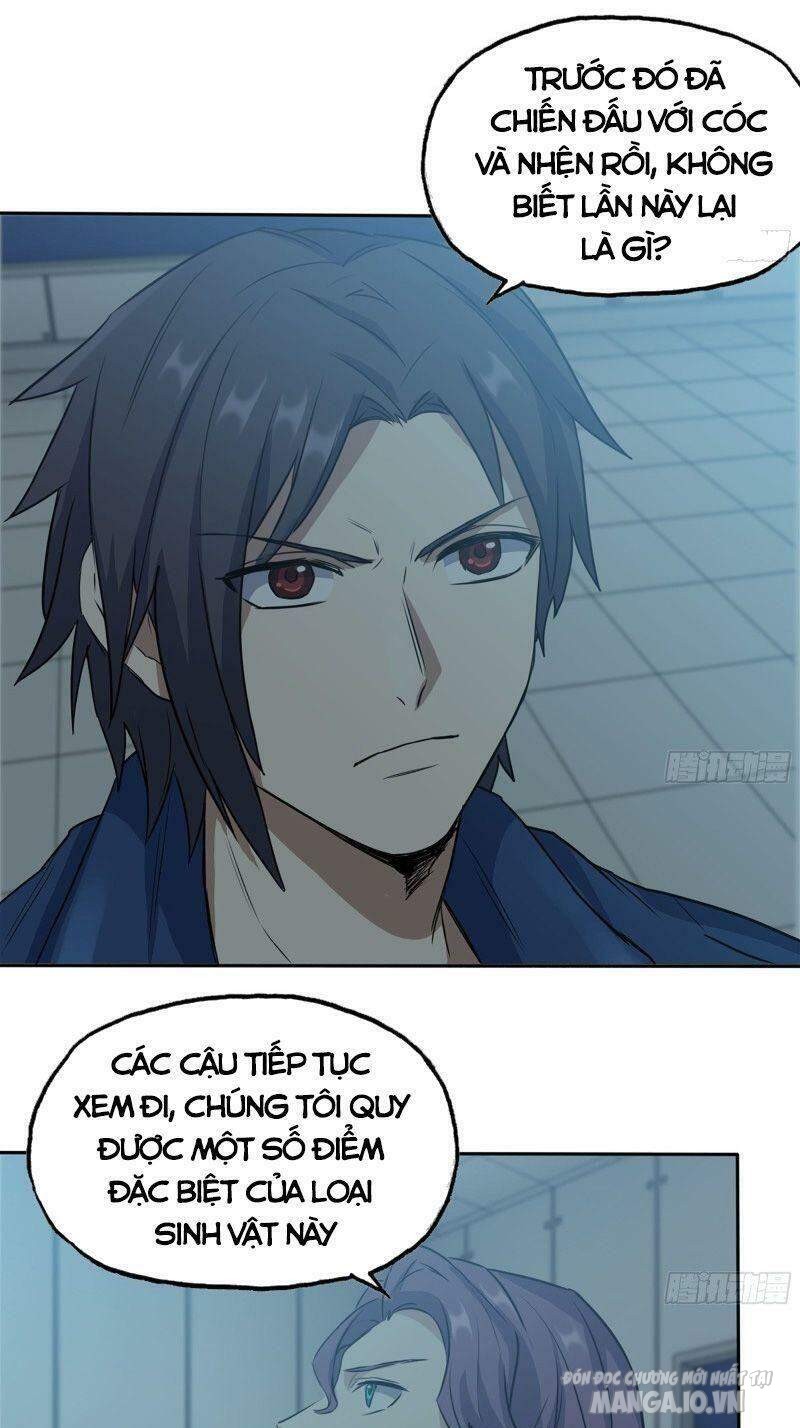 Tôi Chuyển Vàng Tại Mạt Thế Chapter 246 - Trang 2