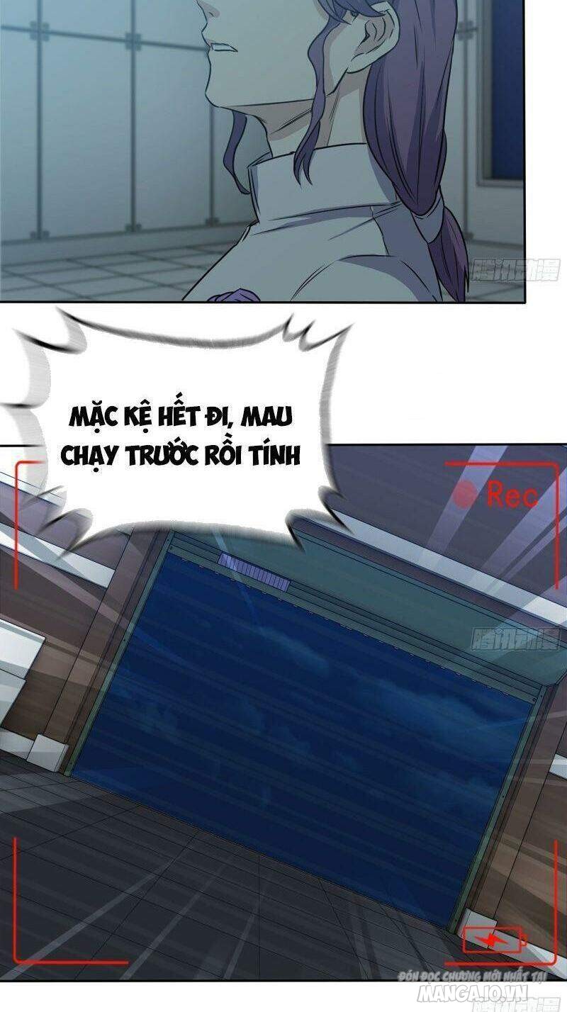 Tôi Chuyển Vàng Tại Mạt Thế Chapter 246 - Trang 2