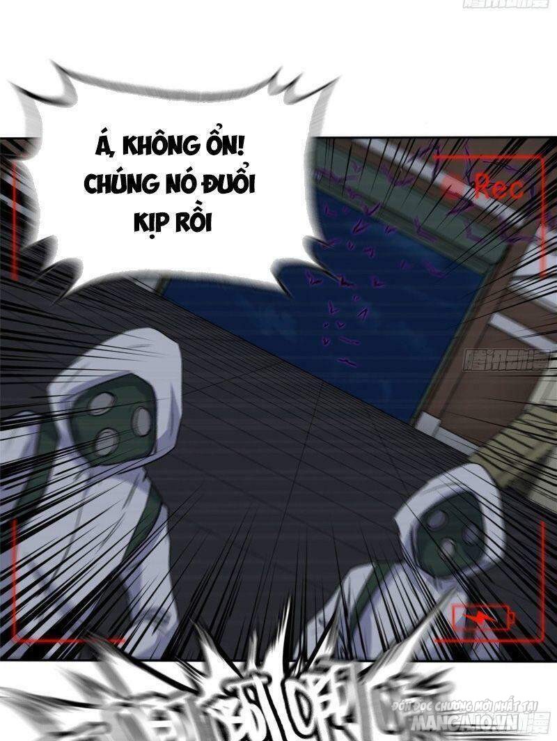 Tôi Chuyển Vàng Tại Mạt Thế Chapter 246 - Trang 2