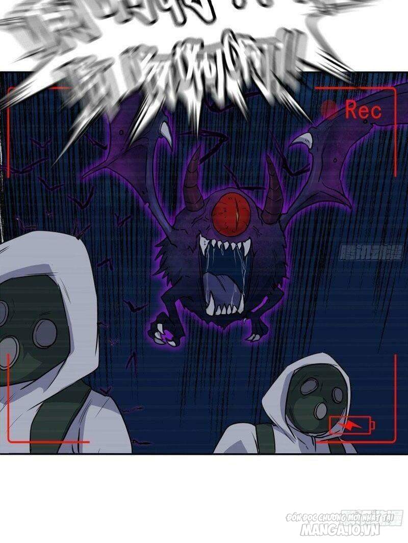 Tôi Chuyển Vàng Tại Mạt Thế Chapter 246 - Trang 2