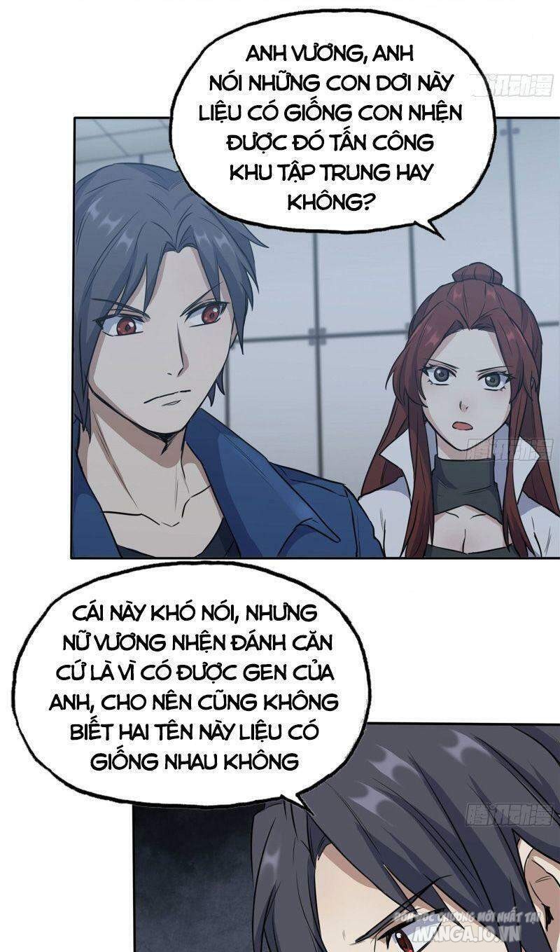 Tôi Chuyển Vàng Tại Mạt Thế Chapter 246 - Trang 2