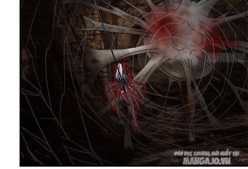 Tôi Chuyển Vàng Tại Mạt Thế Chapter 248 - Trang 2