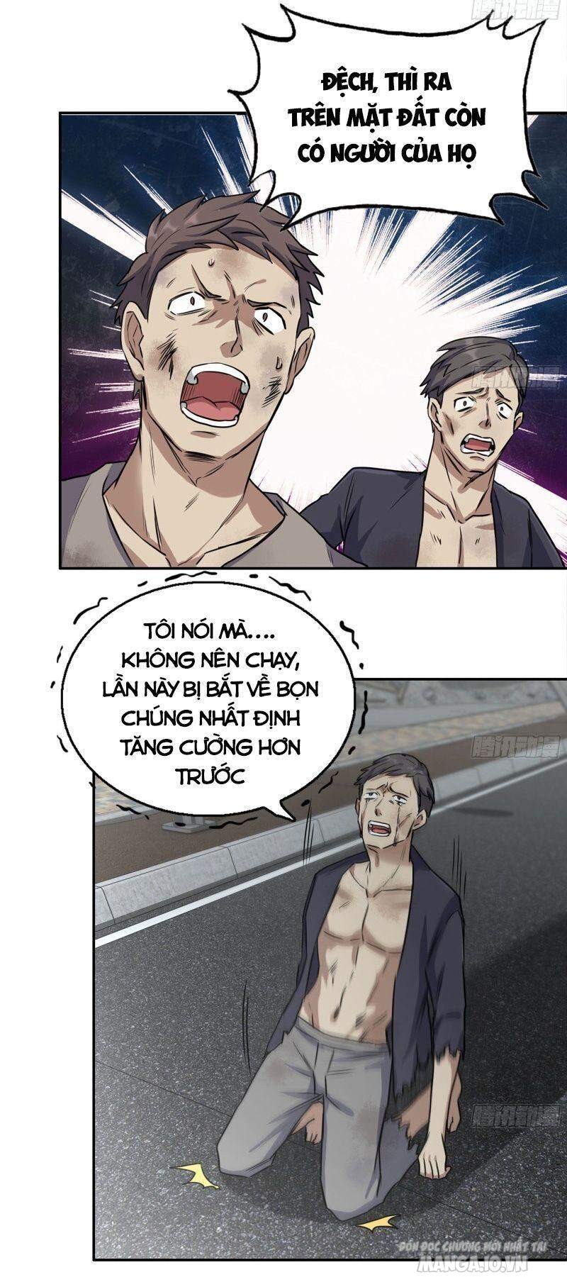 Tôi Chuyển Vàng Tại Mạt Thế Chapter 249 - Trang 2