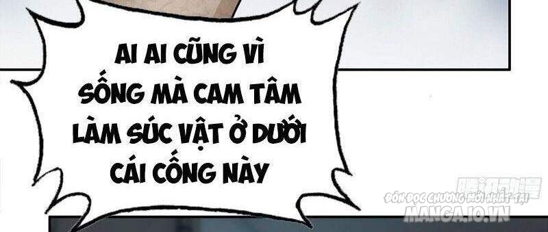 Tôi Chuyển Vàng Tại Mạt Thế Chapter 250 - Trang 2