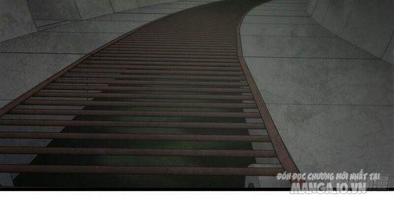 Tôi Chuyển Vàng Tại Mạt Thế Chapter 250 - Trang 2