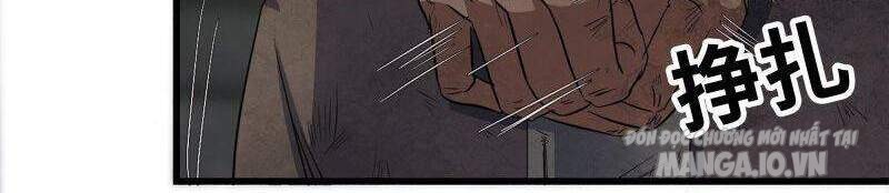 Tôi Chuyển Vàng Tại Mạt Thế Chapter 251 - Trang 2