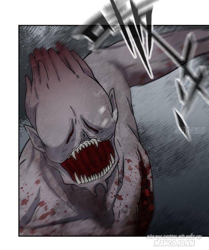 Tôi Chuyển Vàng Tại Mạt Thế Chapter 258 - Trang 2