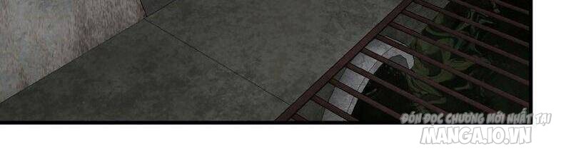 Tôi Chuyển Vàng Tại Mạt Thế Chapter 265 - Trang 2