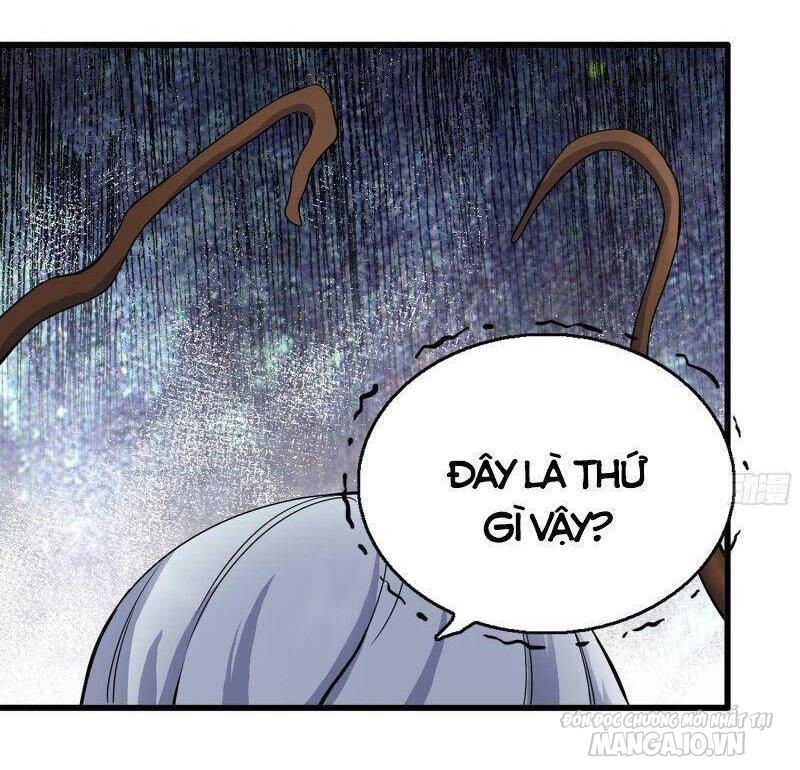 Tôi Chuyển Vàng Tại Mạt Thế Chapter 267 - Trang 2