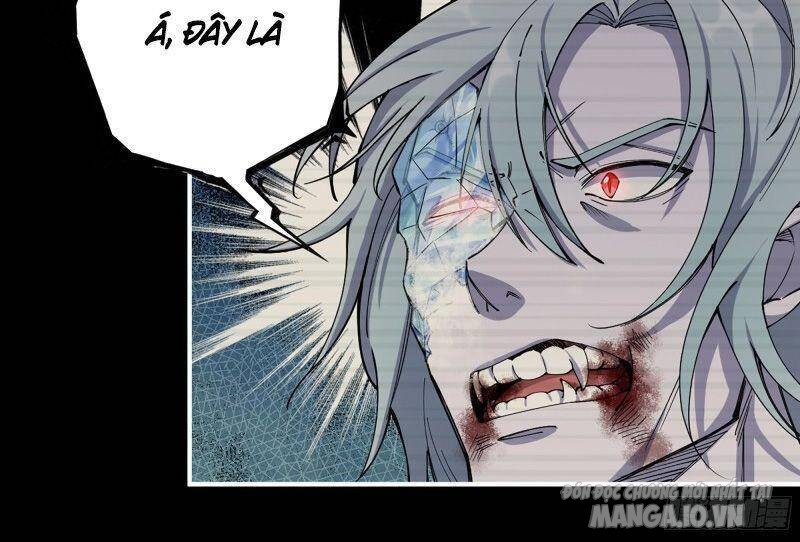 Tôi Chuyển Vàng Tại Mạt Thế Chapter 277 - Trang 2