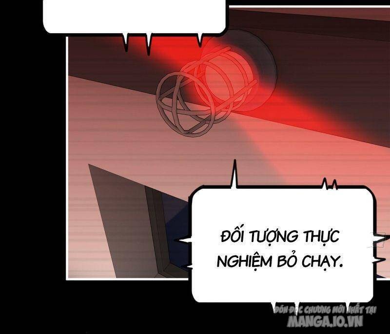 Tôi Chuyển Vàng Tại Mạt Thế Chapter 277 - Trang 2