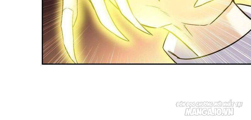 Tôi Chuyển Vàng Tại Mạt Thế Chapter 281 - Trang 2