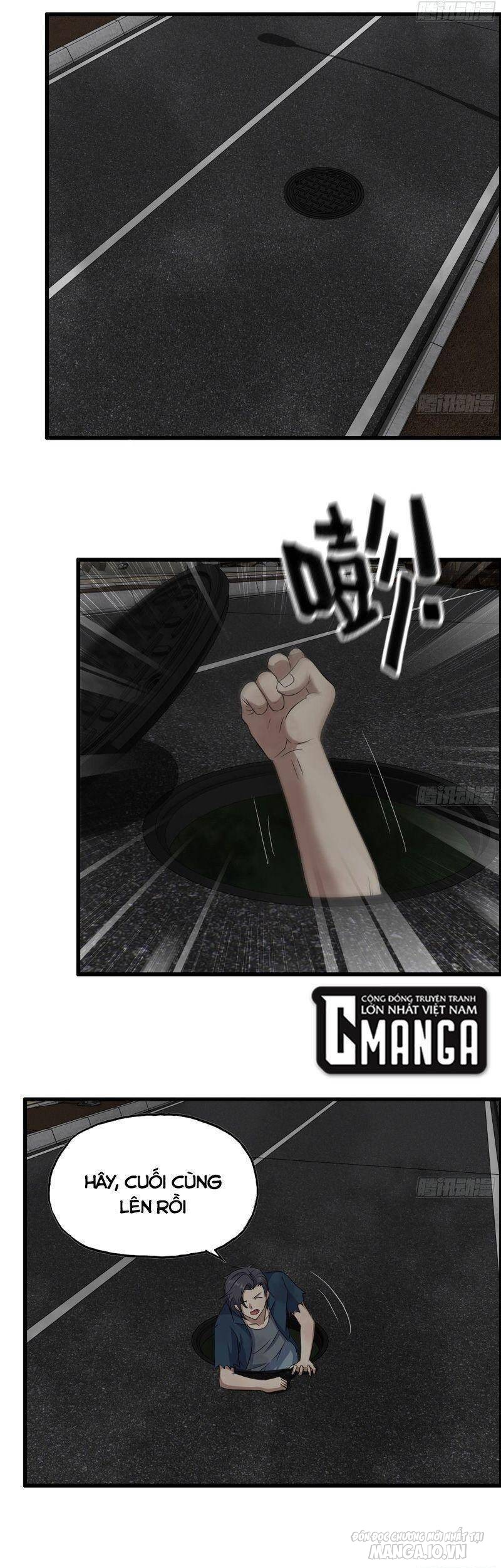 Tôi Chuyển Vàng Tại Mạt Thế Chapter 287 - Trang 2