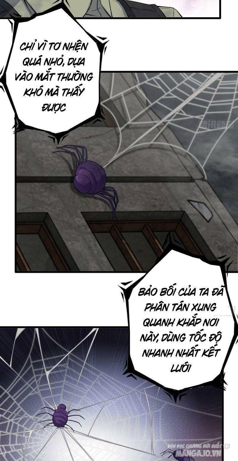 Tôi Chuyển Vàng Tại Mạt Thế Chapter 295 - Trang 2