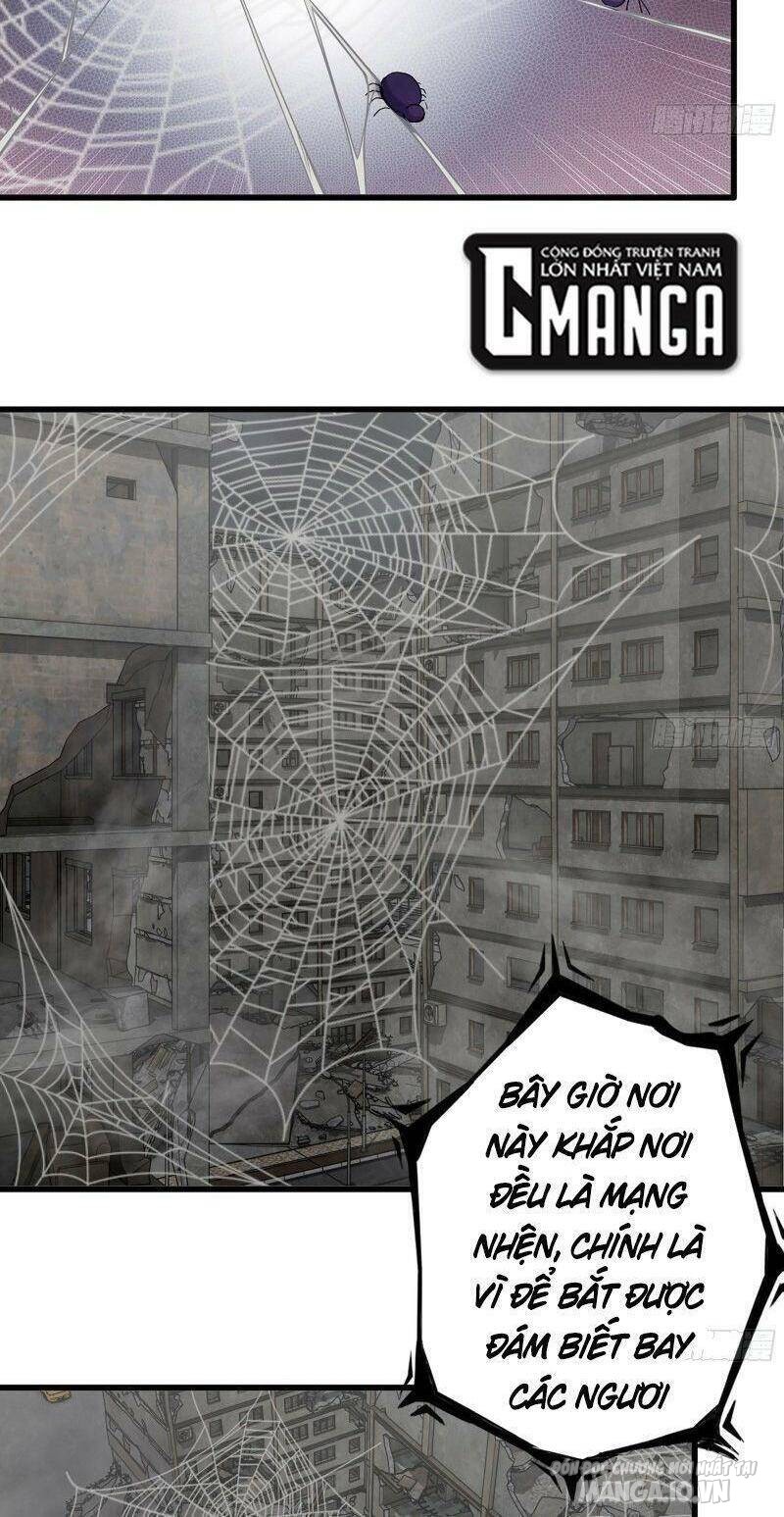 Tôi Chuyển Vàng Tại Mạt Thế Chapter 295 - Trang 2