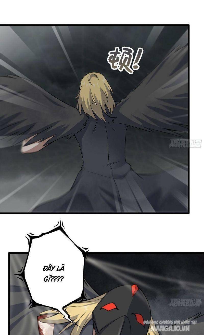 Tôi Chuyển Vàng Tại Mạt Thế Chapter 295 - Trang 2