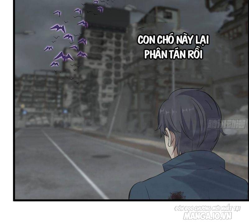 Tôi Chuyển Vàng Tại Mạt Thế Chapter 297 - Trang 2