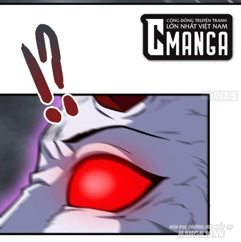 Tôi Chuyển Vàng Tại Mạt Thế Chapter 299 - Trang 2