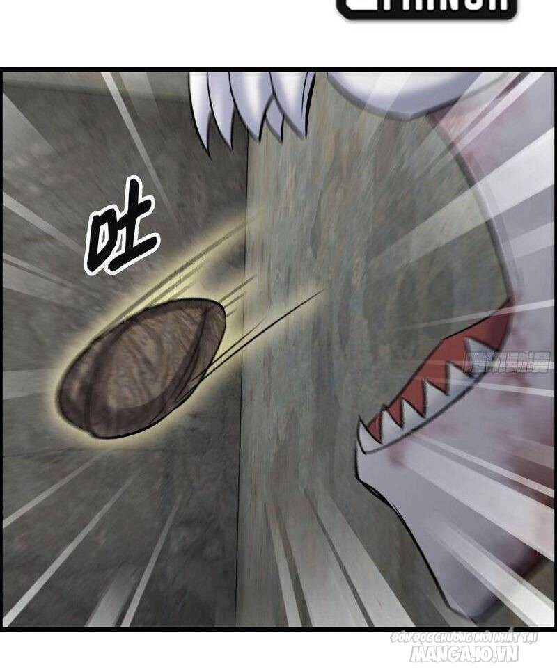 Tôi Chuyển Vàng Tại Mạt Thế Chapter 303 - Trang 2