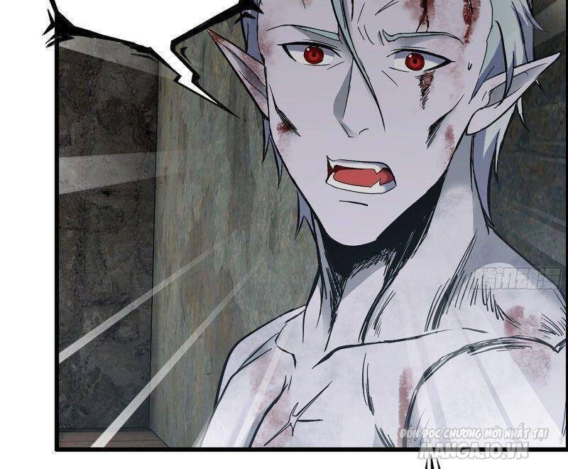 Tôi Chuyển Vàng Tại Mạt Thế Chapter 304 - Trang 2