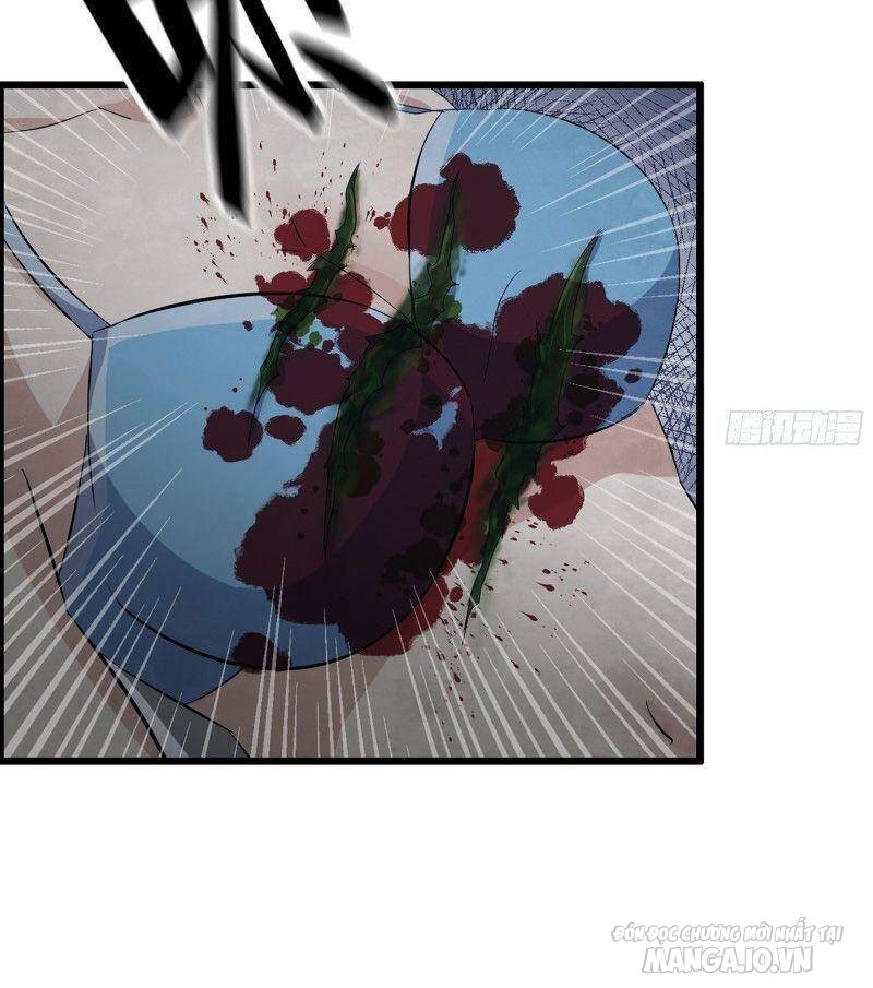 Tôi Chuyển Vàng Tại Mạt Thế Chapter 306 - Trang 2