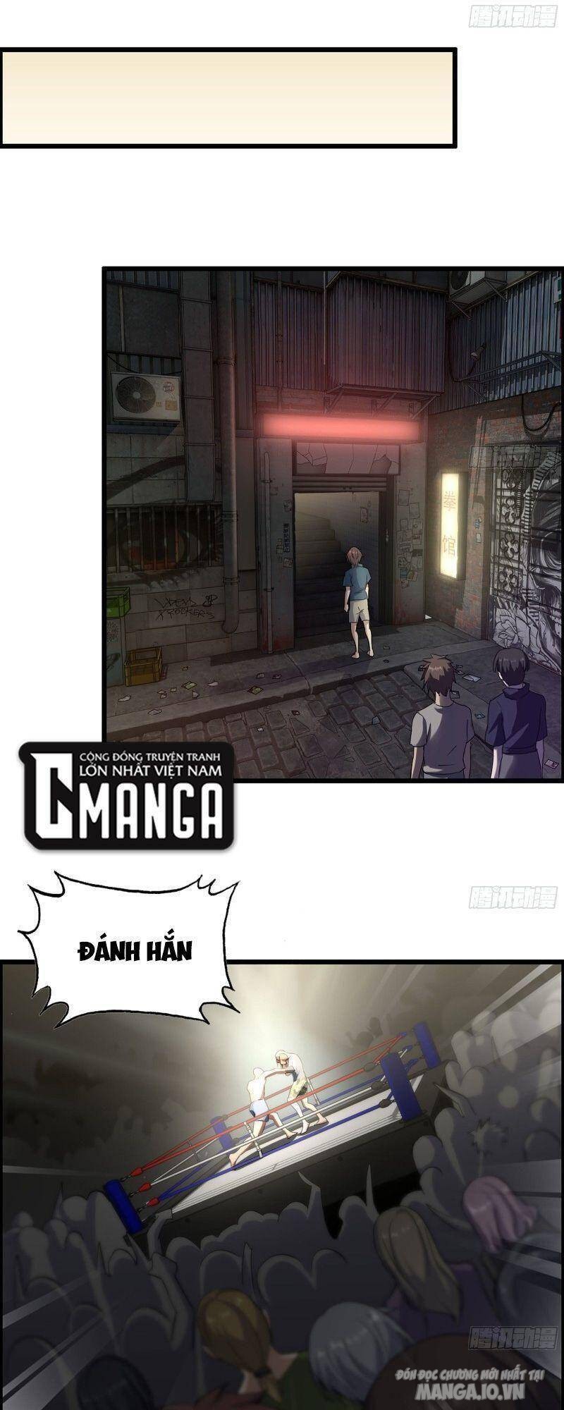 Tôi Chuyển Vàng Tại Mạt Thế Chapter 310 - Trang 2