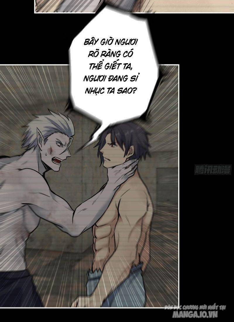 Tôi Chuyển Vàng Tại Mạt Thế Chapter 310 - Trang 2