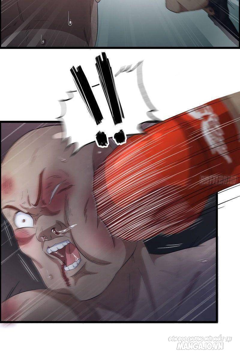 Tôi Chuyển Vàng Tại Mạt Thế Chapter 311 - Trang 2