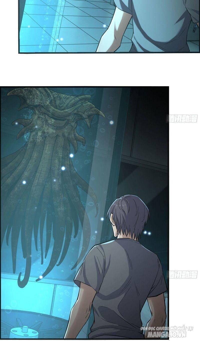 Tôi Chuyển Vàng Tại Mạt Thế Chapter 314 - Trang 2