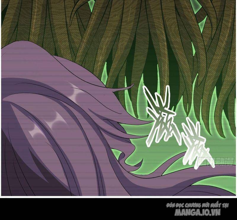 Tôi Chuyển Vàng Tại Mạt Thế Chapter 315 - Trang 2