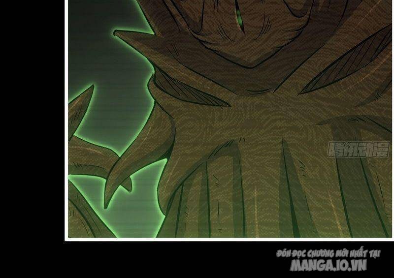 Tôi Chuyển Vàng Tại Mạt Thế Chapter 315 - Trang 2