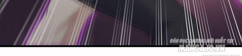 Tôi Chuyển Vàng Tại Mạt Thế Chapter 348 - Trang 2