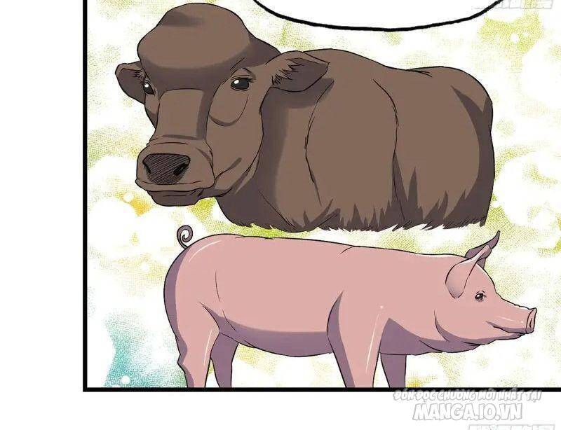 Tôi Chuyển Vàng Tại Mạt Thế Chapter 357 - Trang 2