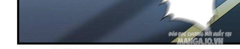 Tôi Chuyển Vàng Tại Mạt Thế Chapter 366 - Trang 2