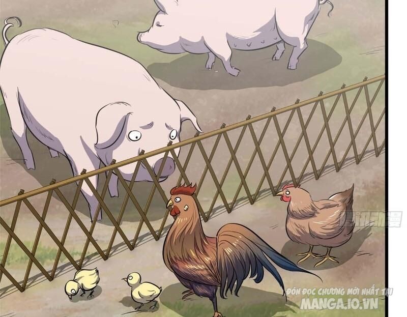 Tôi Chuyển Vàng Tại Mạt Thế Chapter 37 - Trang 2