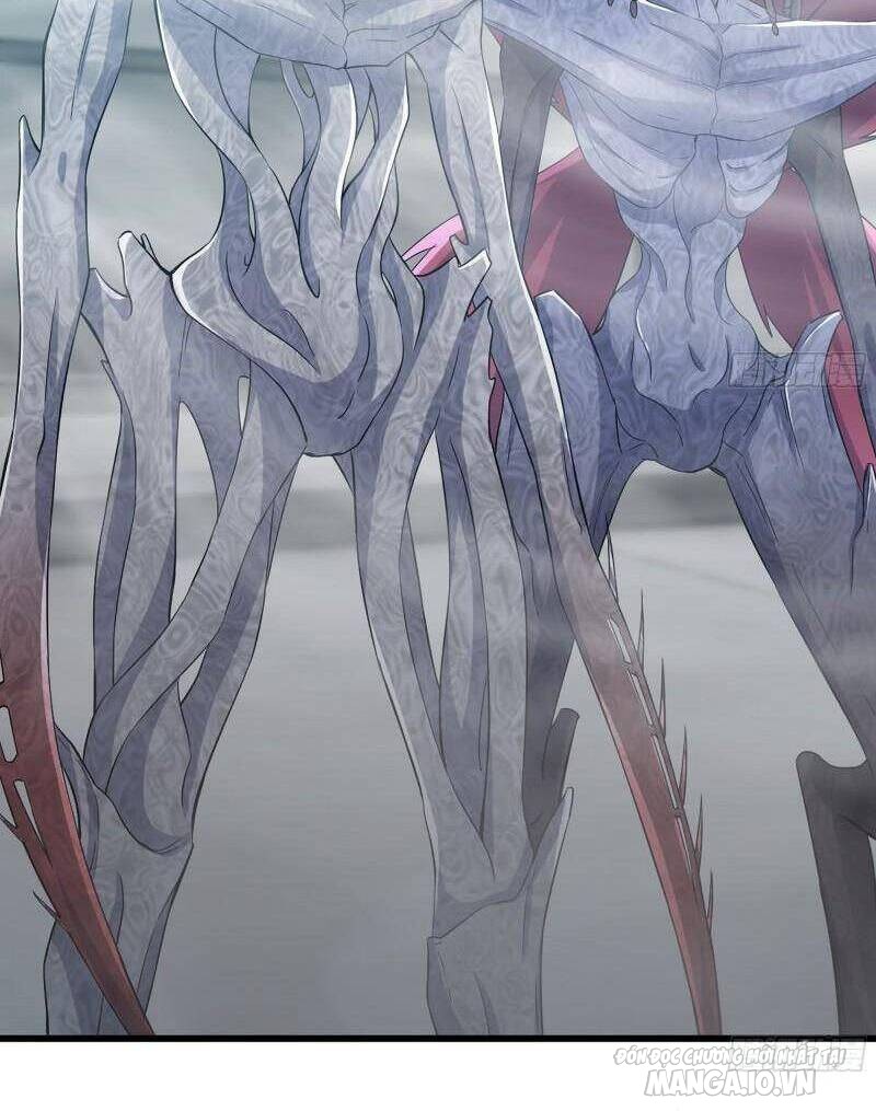 Tôi Chuyển Vàng Tại Mạt Thế Chapter 373 - Trang 2