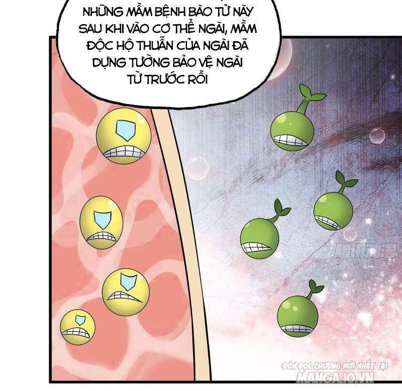 Tôi Chuyển Vàng Tại Mạt Thế Chapter 374 - Trang 2