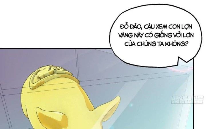 Tôi Chuyển Vàng Tại Mạt Thế Chapter 457 - Trang 2