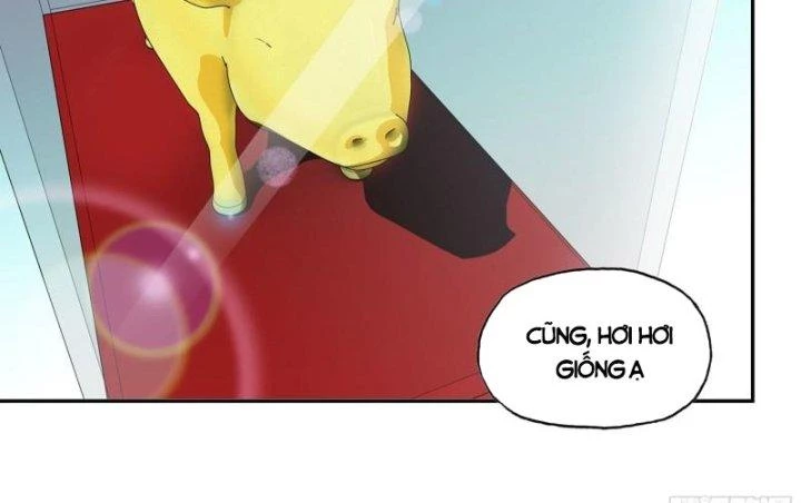 Tôi Chuyển Vàng Tại Mạt Thế Chapter 457 - Trang 2