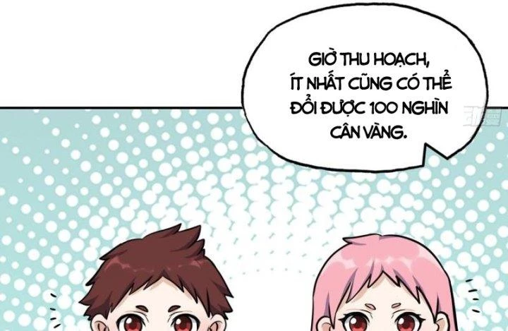 Tôi Chuyển Vàng Tại Mạt Thế Chapter 465 - Trang 2