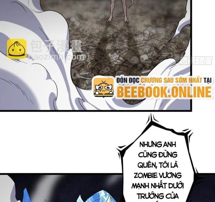 Tôi Chuyển Vàng Tại Mạt Thế Chapter 474 - Trang 2