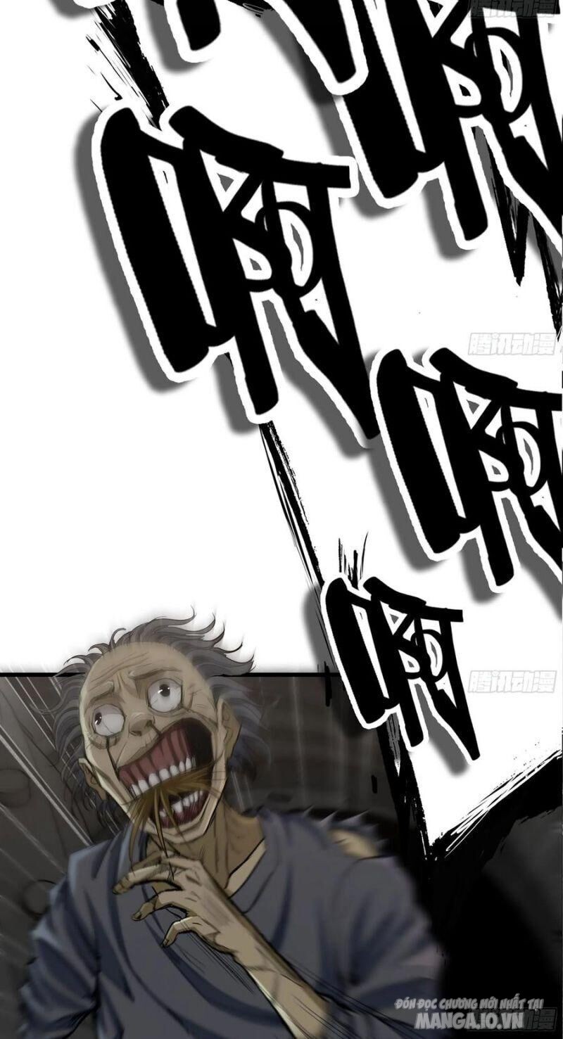 Tôi Chuyển Vàng Tại Mạt Thế Chapter 74 - Trang 2