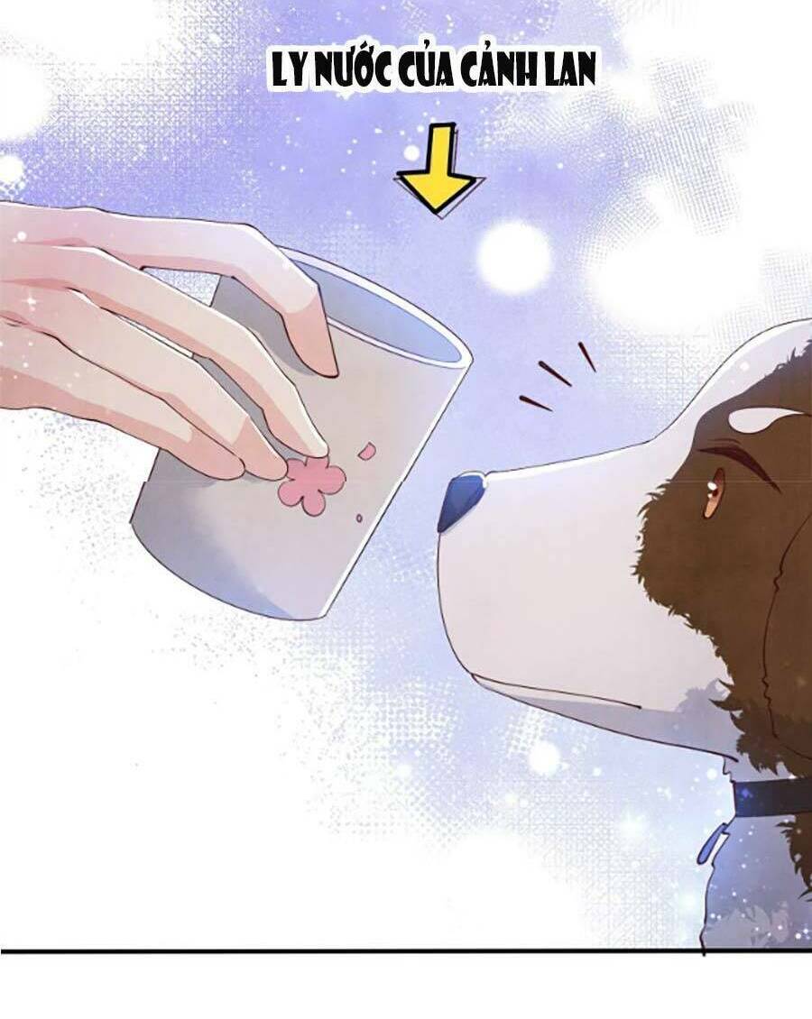 Tôi Có Ông Chồng Hay Ghen Chapter 62 - Trang 2