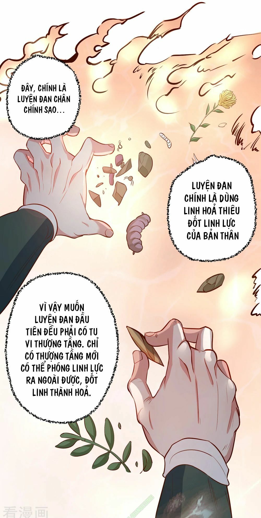 Tối Cường Đại Biểu Hoàng Kim Thận Chapter 10 - Trang 2