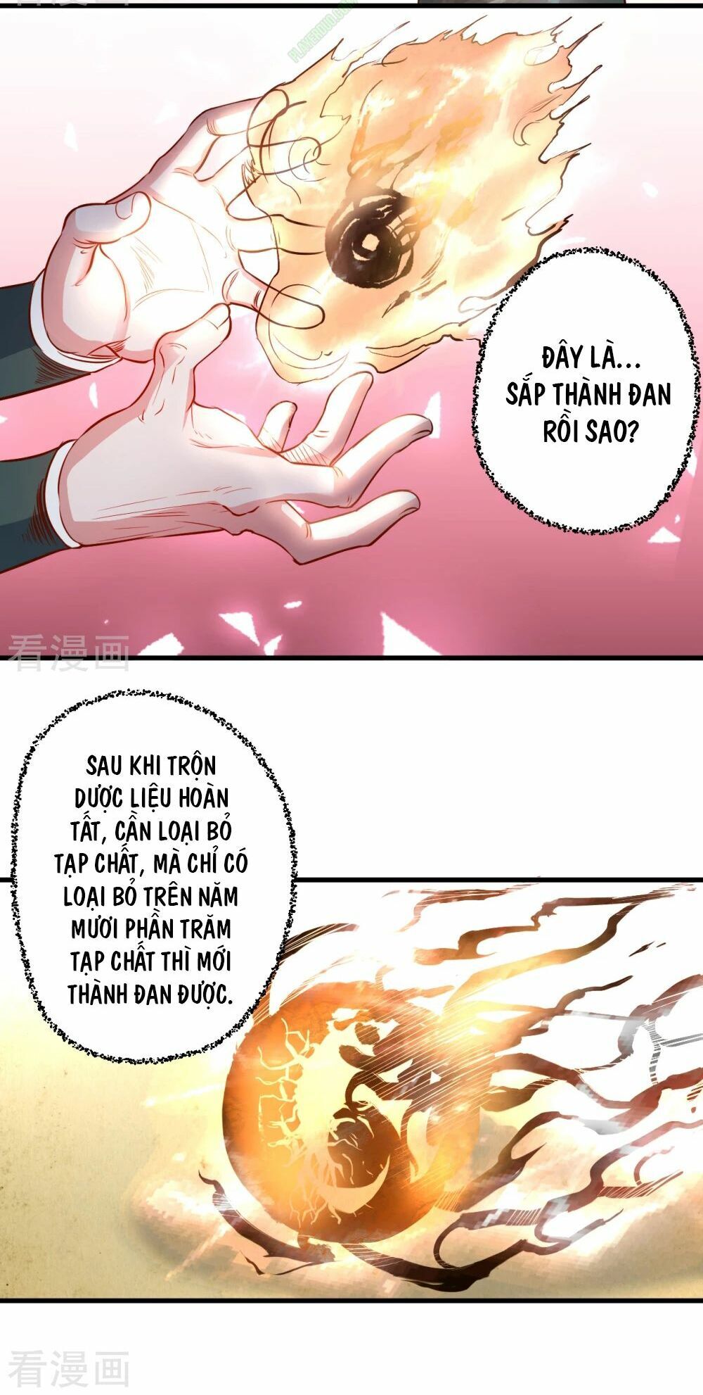 Tối Cường Đại Biểu Hoàng Kim Thận Chapter 10 - Trang 2