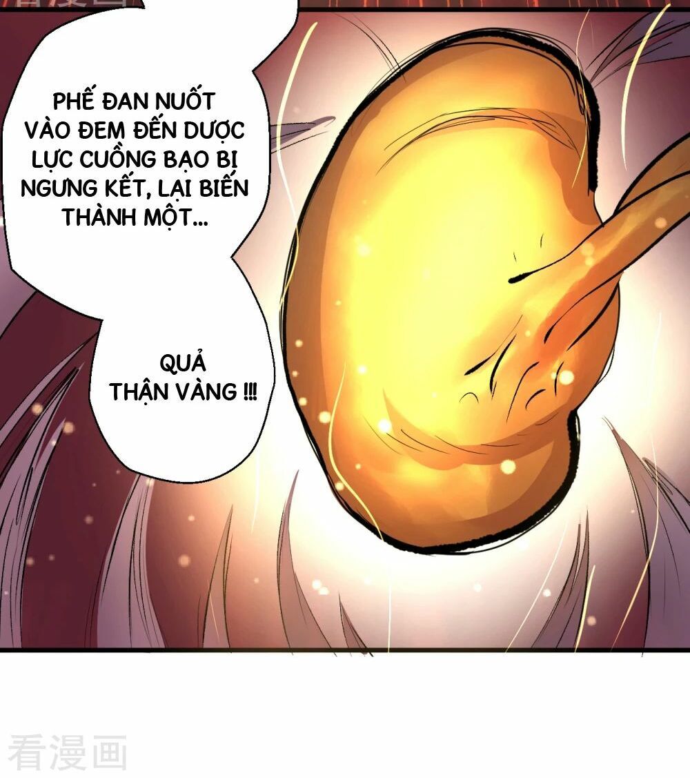 Tối Cường Đại Biểu Hoàng Kim Thận Chapter 3 - Trang 2