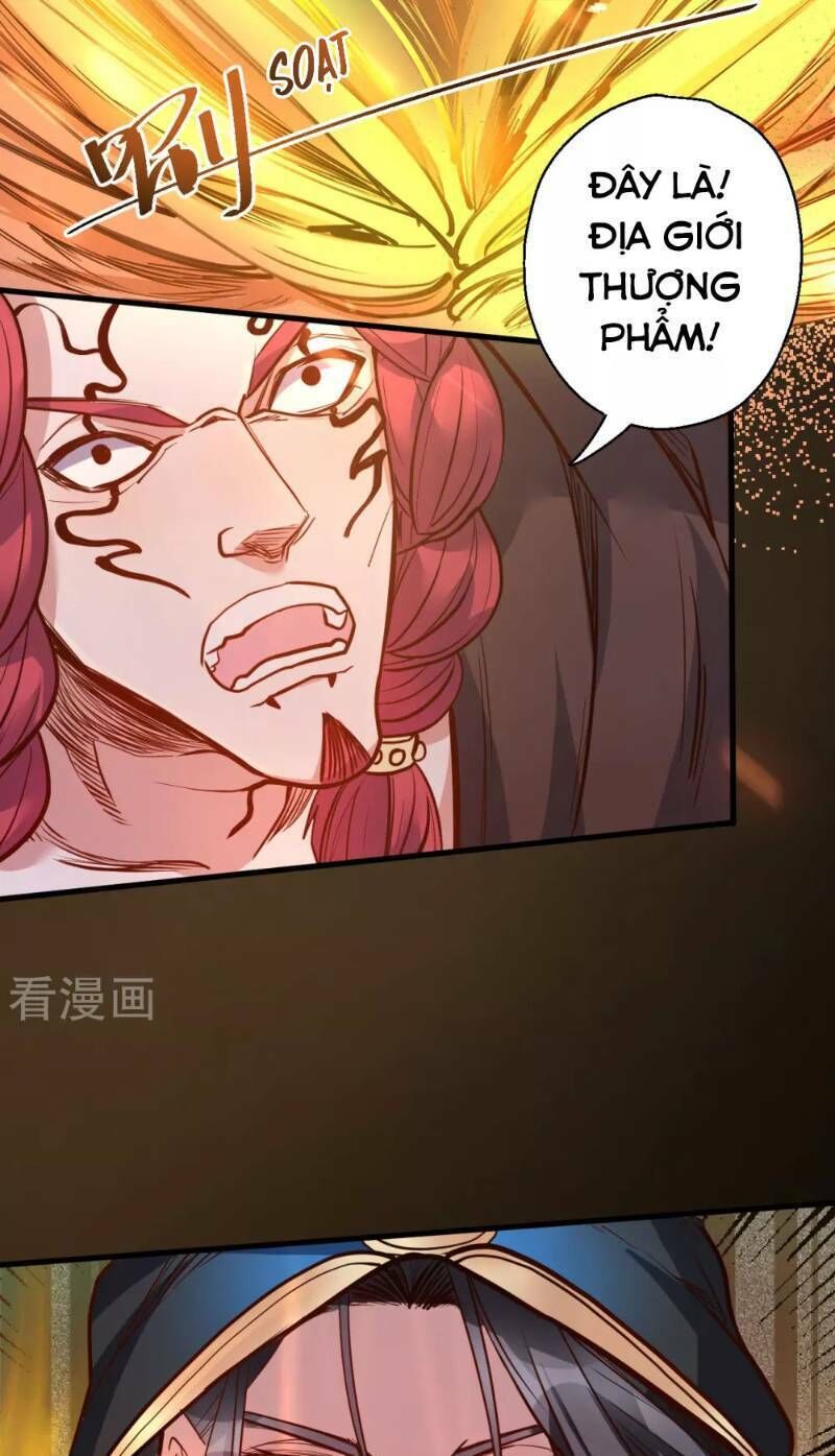 Tối Cường Đại Biểu Hoàng Kim Thận Chapter 43 - Trang 2