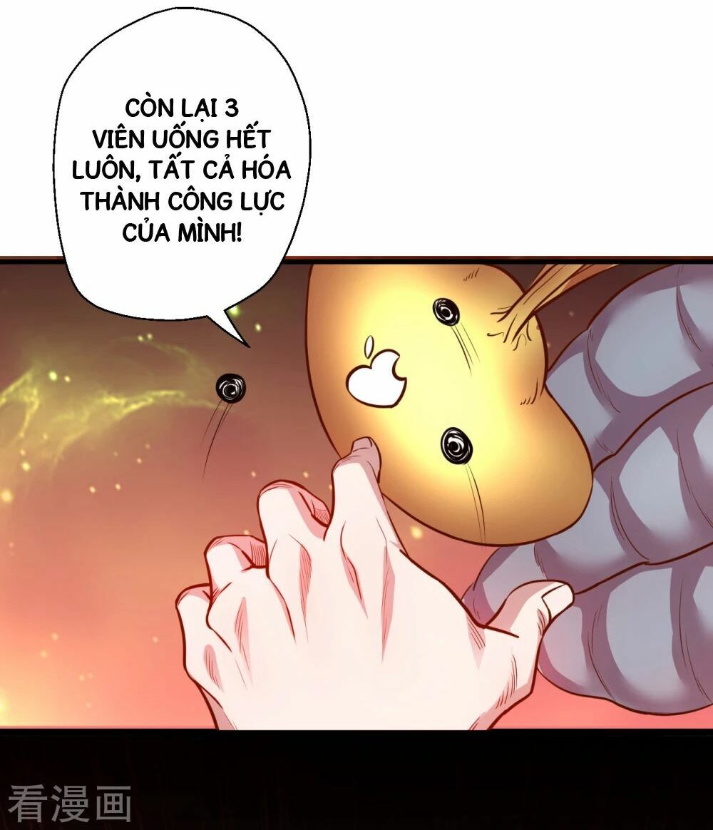 Tối Cường Đại Biểu Hoàng Kim Thận Chapter 8 - Trang 2