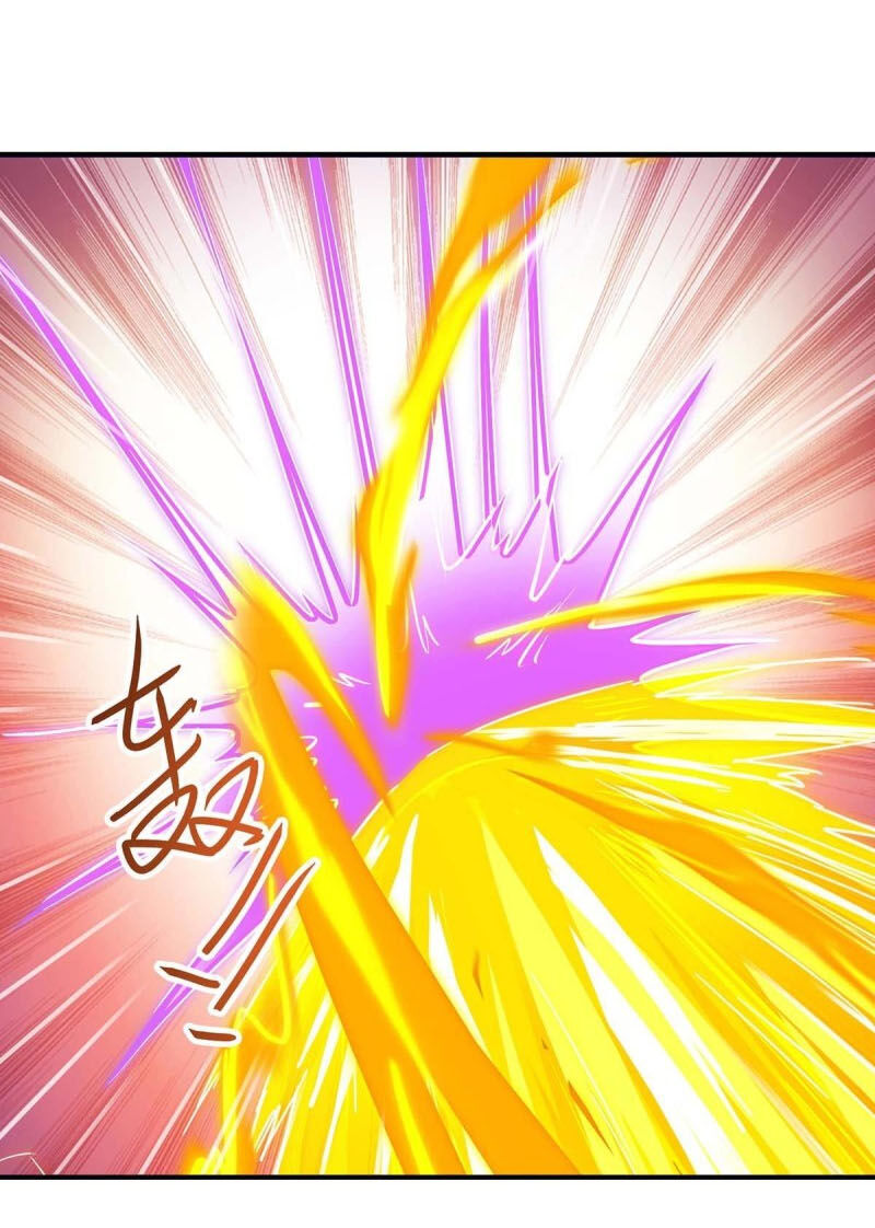 Tối Cường Thăng Cấp Chapter 167 - Trang 2