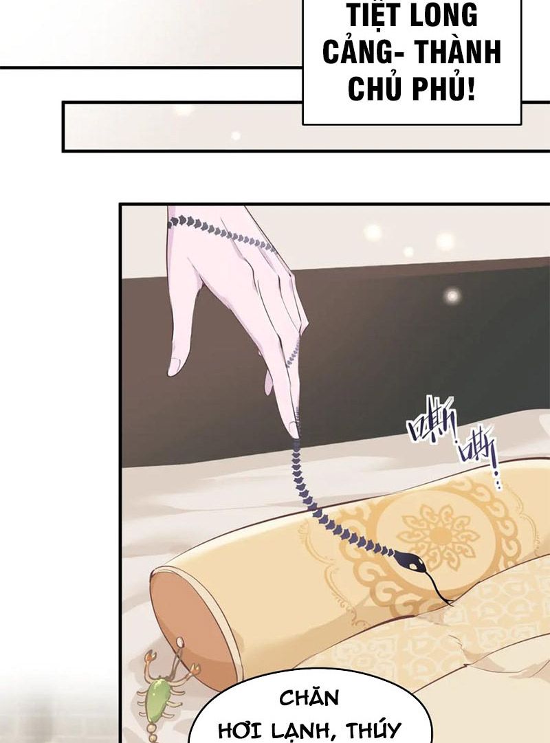 Tối Cường Thiên Đế Hệ Thống Chapter 10 - Trang 2